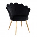Vanity Chair Shell Premium Quality Black Gold-5400374 BEAUTY & LOUNGE CHAIRS