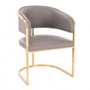 Elegant beauty chair Grey Gold-5470102 BEAUTY & LOUNGE CHAIRS