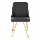 Luxury Chair Stainless Steel Black Gold-5470106 BEAUTY & LOUNGE CHAIRS