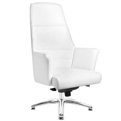 Καρέκλα γραφείου και αισθητικής Λευκή - 0109358