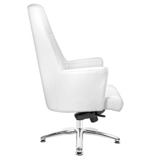 Πολυτελής καρέκλα αισθητικής - 0109358 