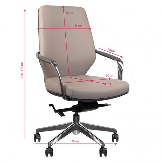 Πολυτελής καρέκλα αισθητικής  με Ανάκλιση πλάτης - 0126329 