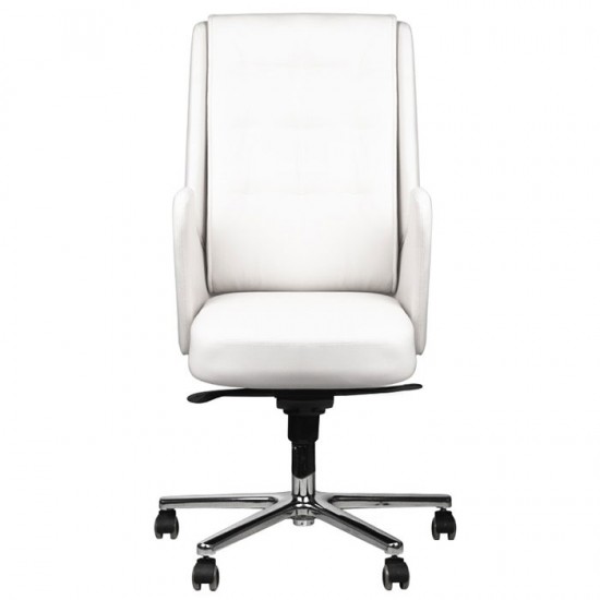 Πολυτελής καρέκλα αισθητικής - 0126337 