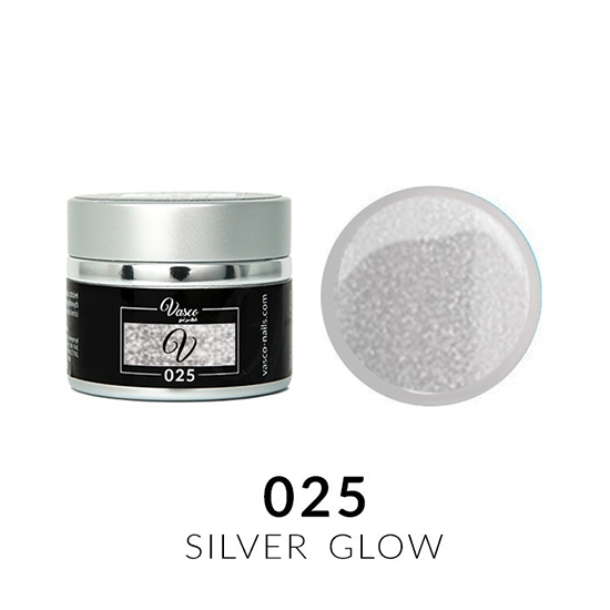 Vasco paint gel silver glow 025 5ml - 8117050 COLOR GEL